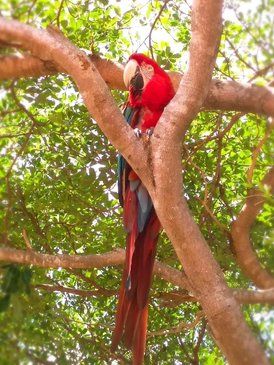 Pousada Rancho Das Dunas Santo Amaro do Maranhao ภายนอก รูปภาพ
